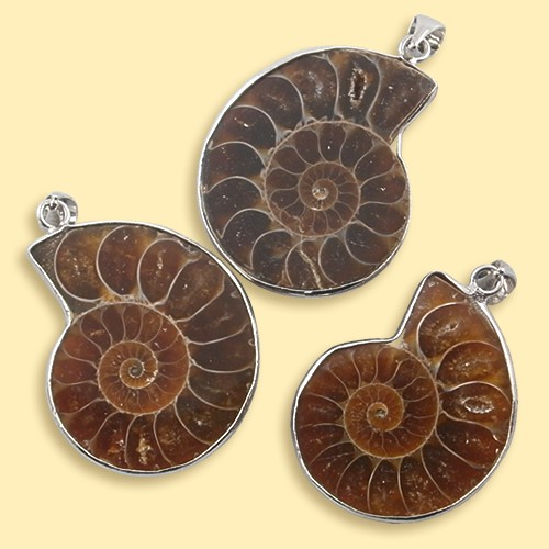Ammonit in silberfarbener Metallfassung mit Öse Maße ca. 2,5 x 3 x 0,6 cm, Kette nicht im Lieferumfang enthalten